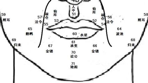 鼻子 面向|麦玲玲面相讲座之 鼻子 – 人相学